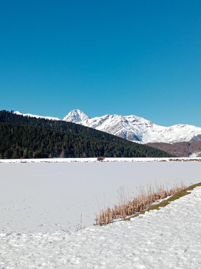 Gite Cosy Lac De Payolle Кампан Экстерьер фото